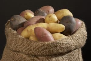 Fun Facts About Potatoes